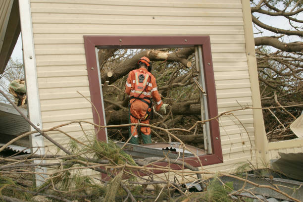 Best Tree Risk Assessment  in Mentone, CA